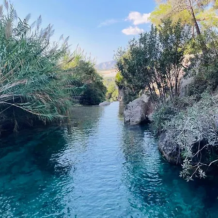 شقة La Margarita تورّيفيِخا