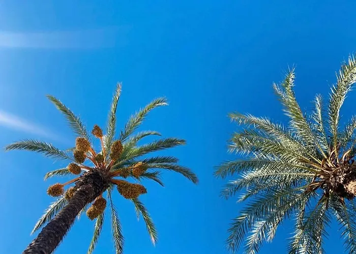 La Margarita Διαμέρισμα