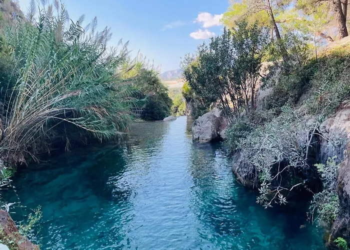Apartment La Margarita Torrevieja